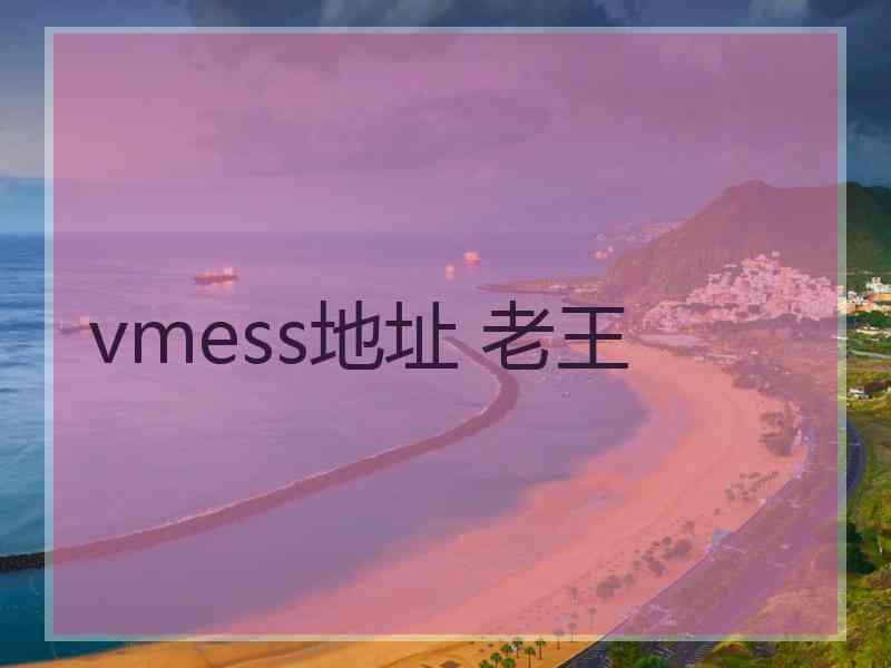 vmess地址 老王