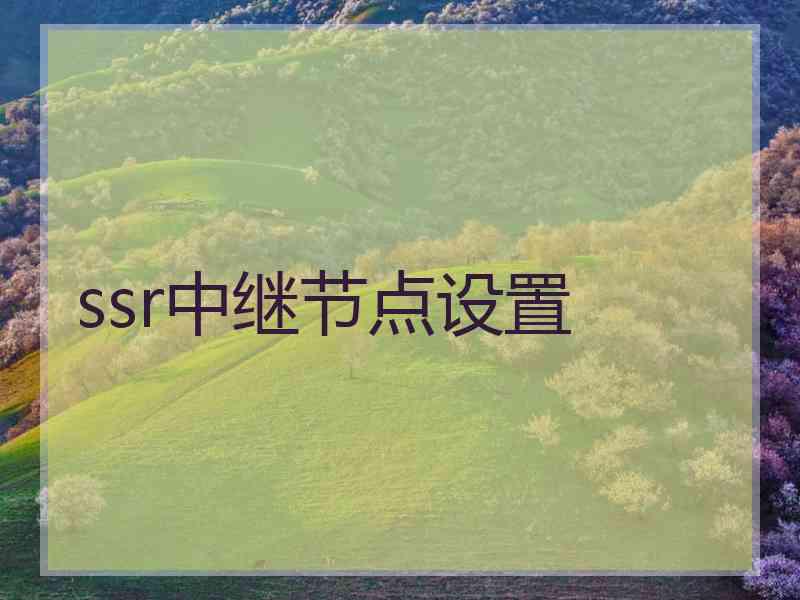 ssr中继节点设置