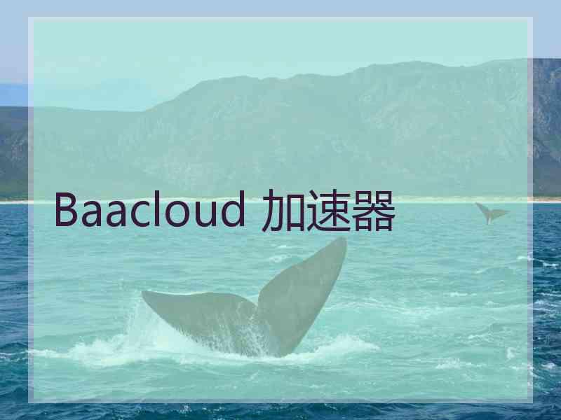 Baacloud 加速器