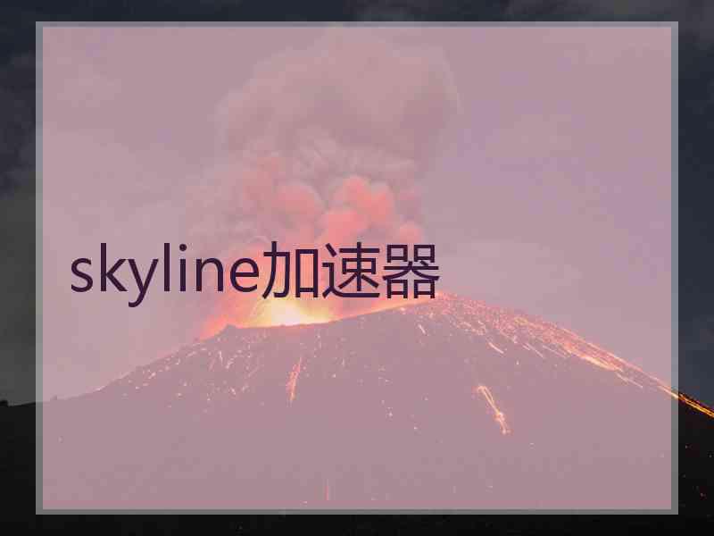 skyline加速器