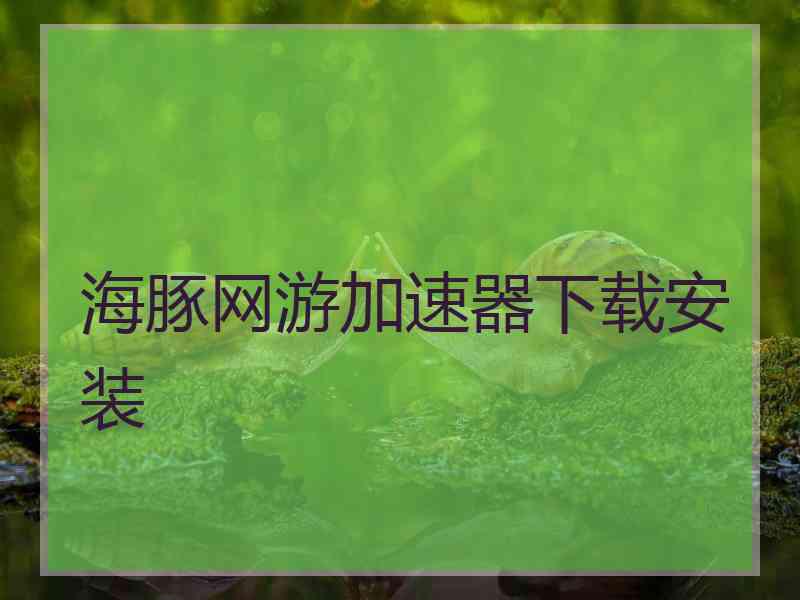 海豚网游加速器下载安装