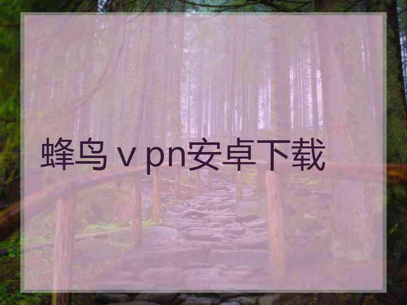 蜂鸟ⅴpn安卓下载