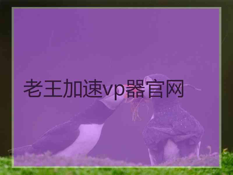 老王加速vp器官网