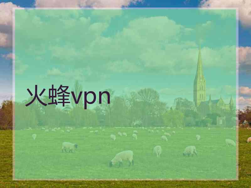 火蜂vpn