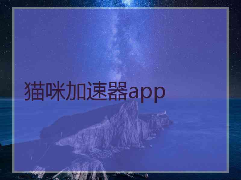 猫咪加速器app