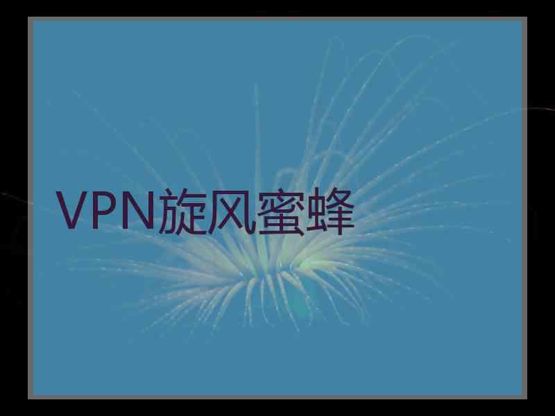 VPN旋风蜜蜂