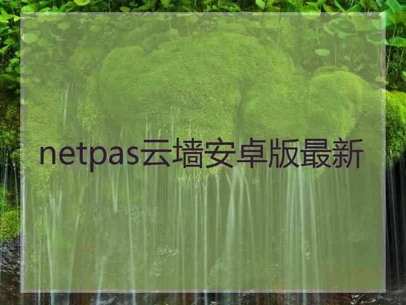 netpas云墙安卓版最新