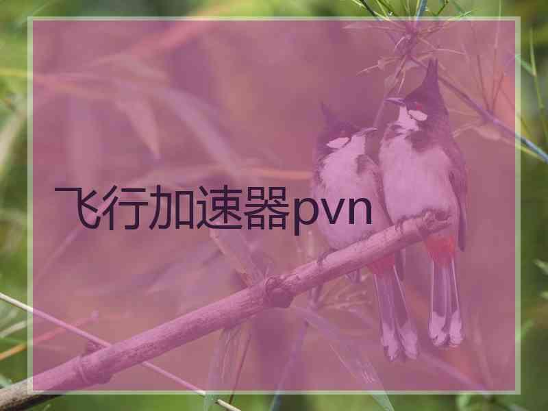 飞行加速器pvn