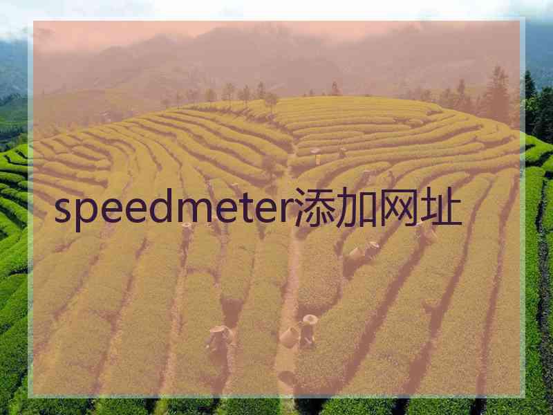 speedmeter添加网址