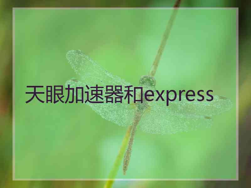 天眼加速器和express