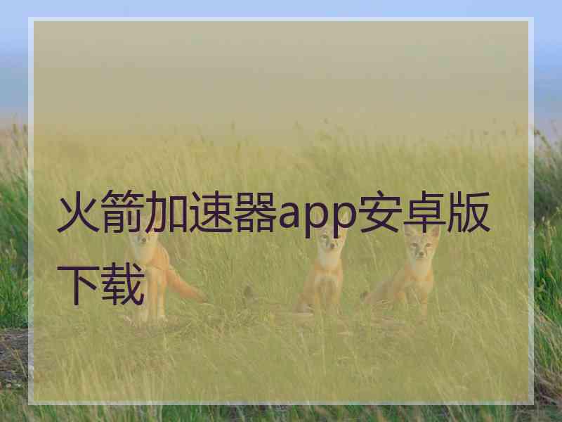 火箭加速器app安卓版下载