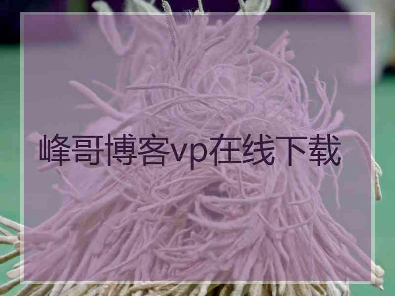 峰哥博客vp在线下载