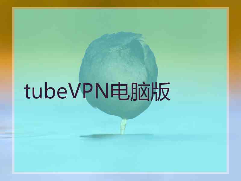 tubeVPN电脑版