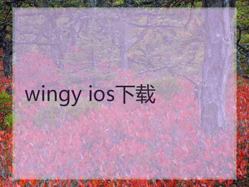 wingy ios下载