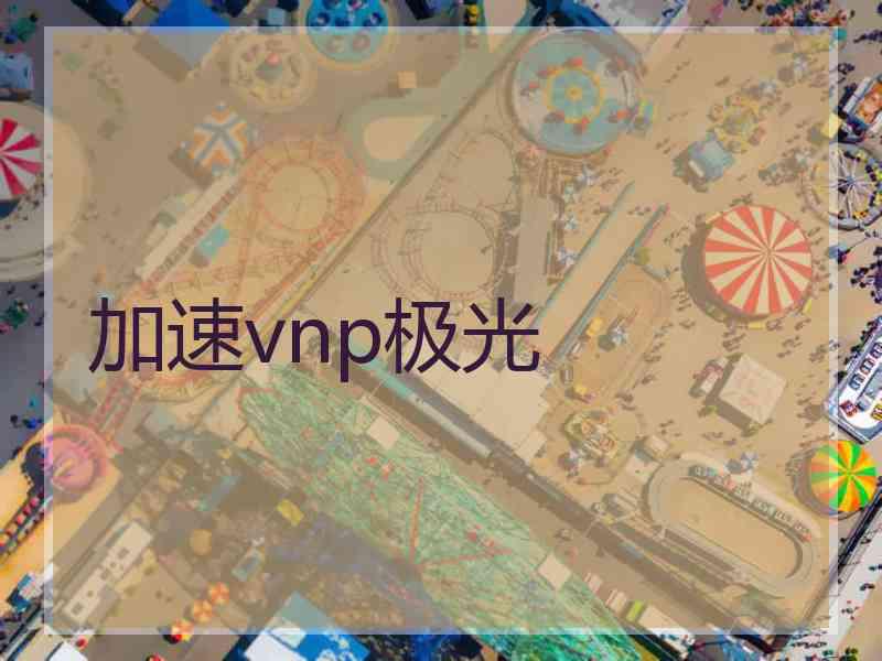 加速vnp极光