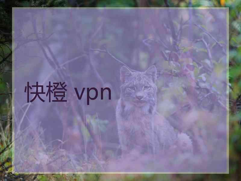 快橙 vpn