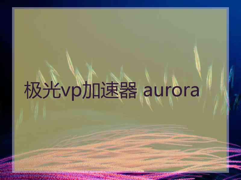 极光vp加速器 aurora