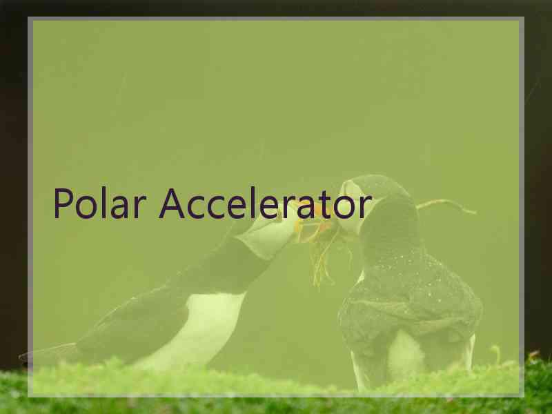 Polar Accelerator