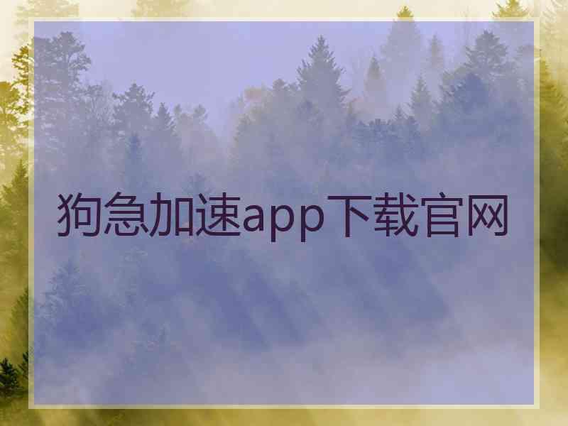 狗急加速app下载官网