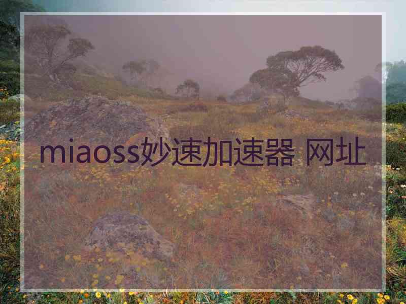 miaoss妙速加速器 网址