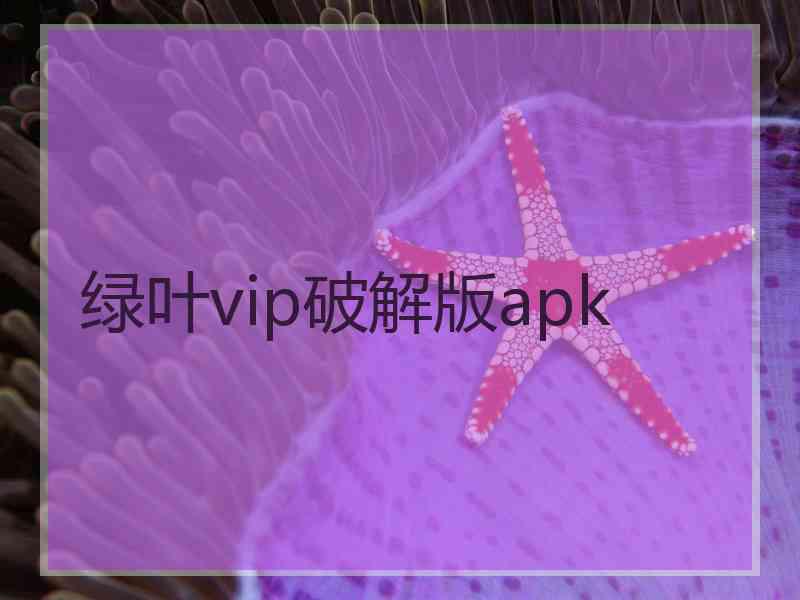 绿叶vip破解版apk