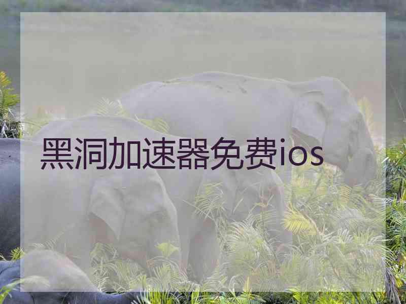 黑洞加速器免费ios