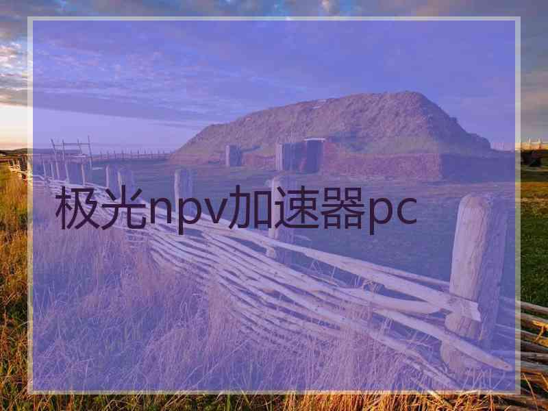 极光npv加速器pc