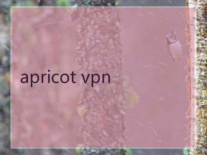 apricot vpn