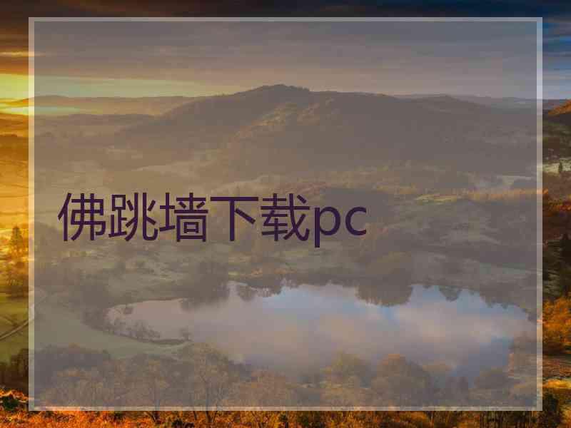 佛跳墙下载pc