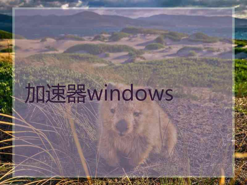 加速器windows