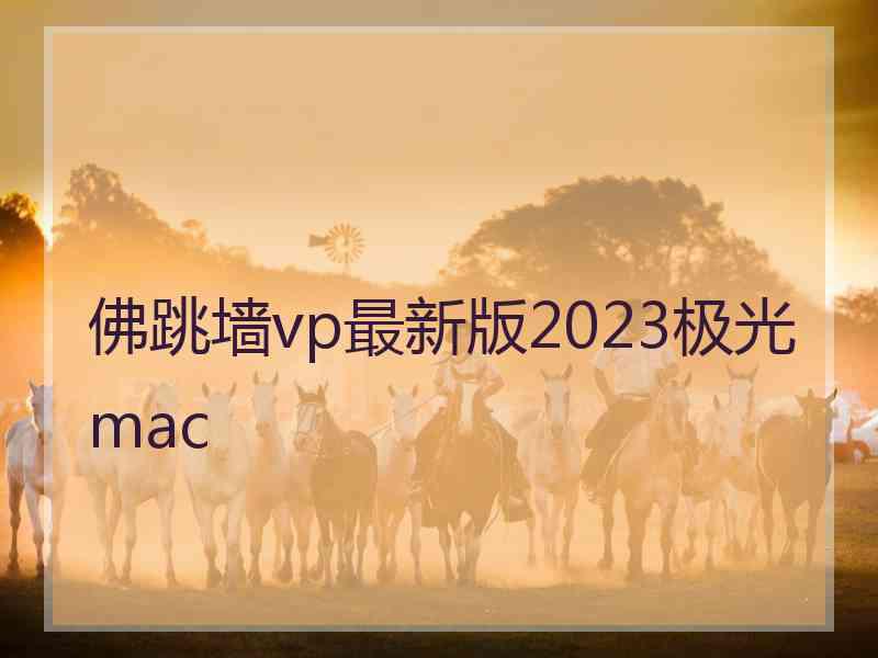 佛跳墙vp最新版2023极光 mac