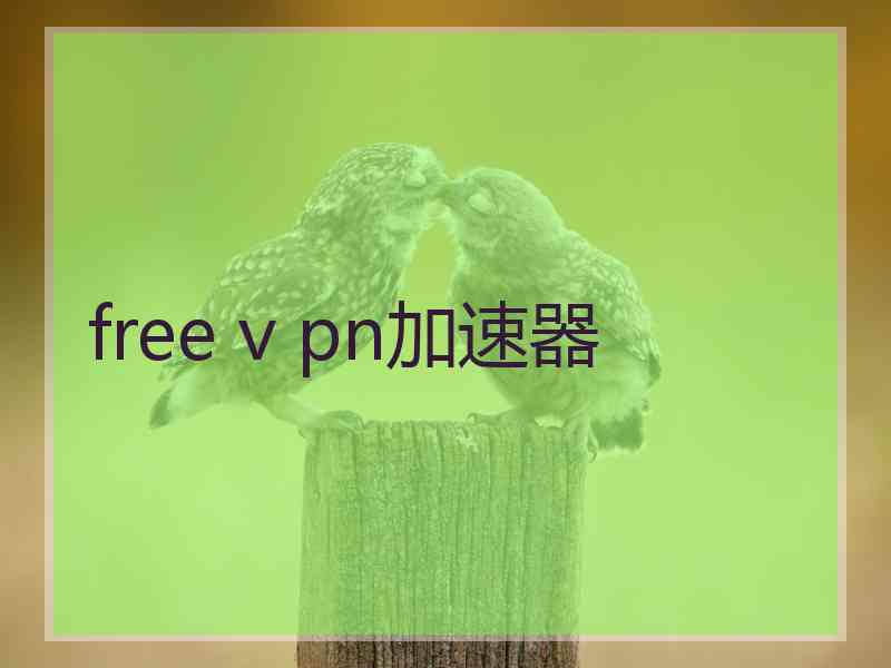 free v pn加速器