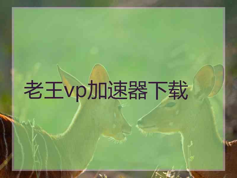 老王vp加速器下载