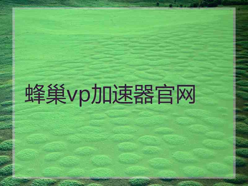 蜂巢vp加速器官网