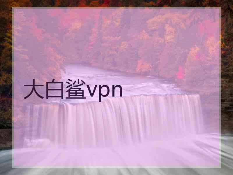 大白鲨vpn