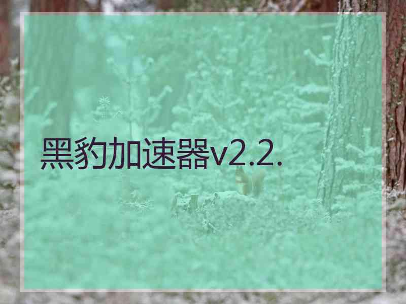 黑豹加速器v2.2.