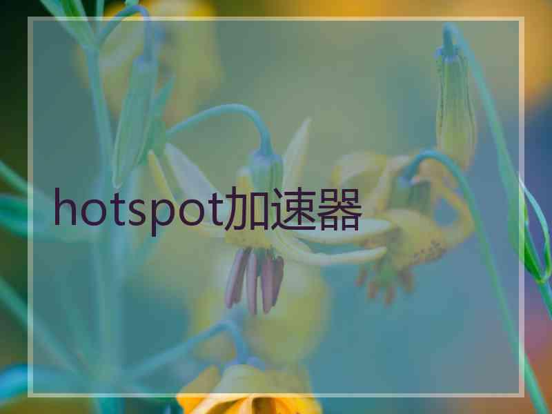 hotspot加速器