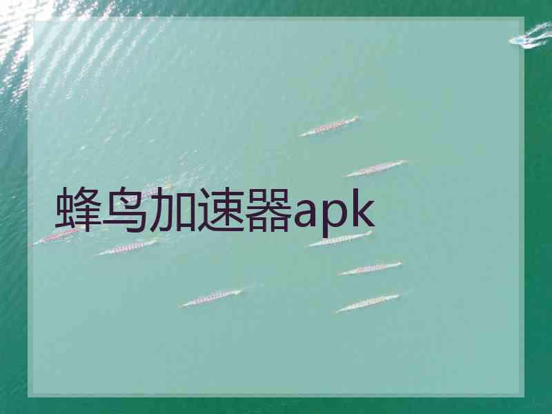 蜂鸟加速器apk