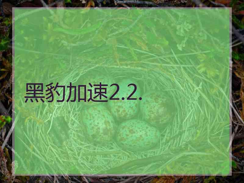 黑豹加速2.2.