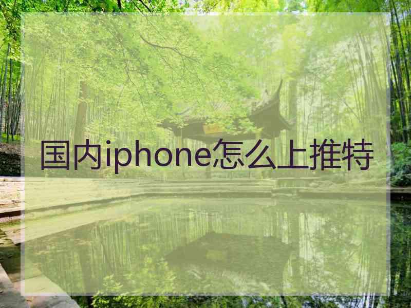 国内iphone怎么上推特