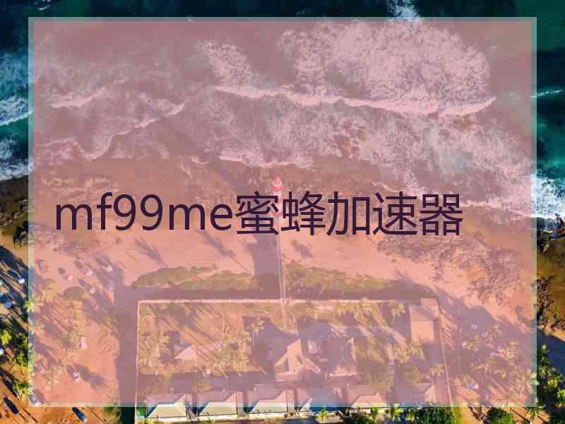 mf99me蜜蜂加速器