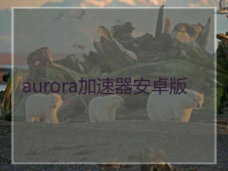 aurora加速器安卓版