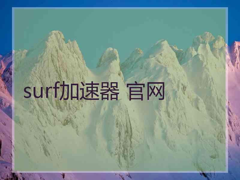 surf加速器 官网