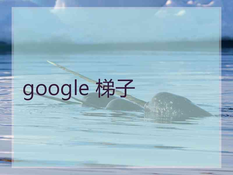 google 梯子