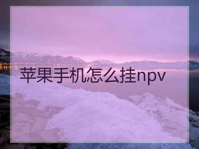 苹果手机怎么挂npv