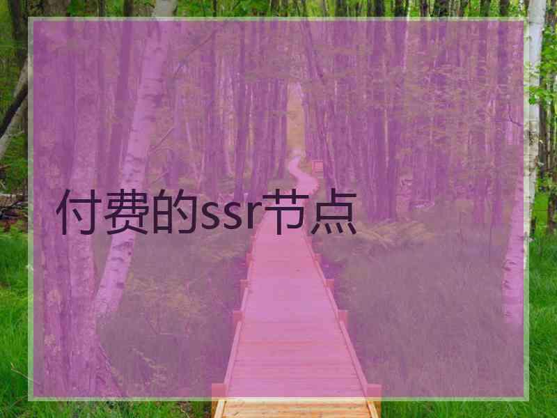 付费的ssr节点