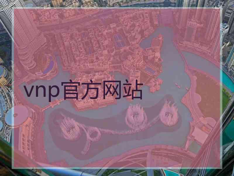 vnp官方网站