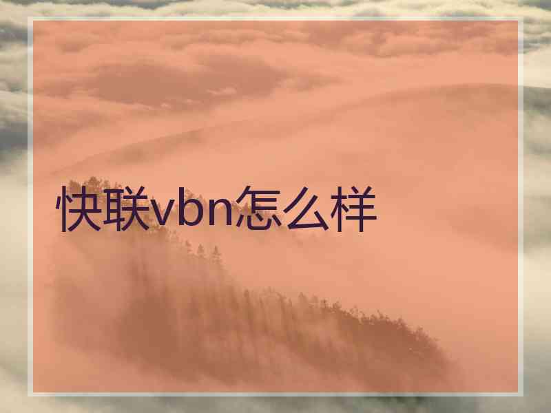 快联vbn怎么样