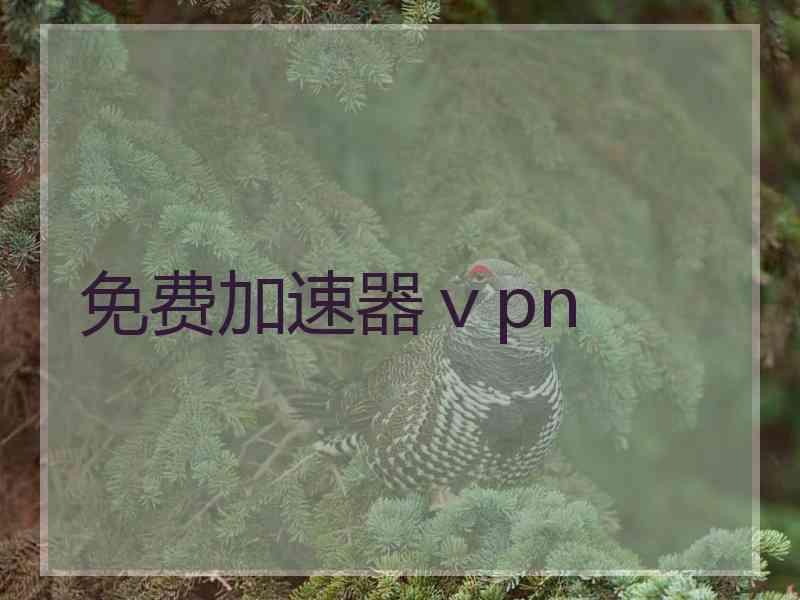 免费加速器ⅴpn