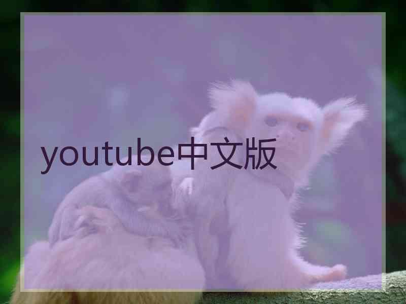 youtube中文版